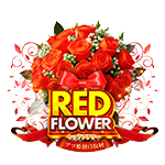 RED FLOWERの企画画像