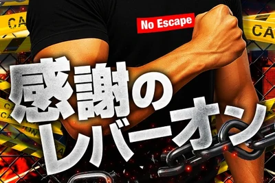 感謝のレバーオンの公式企画画像